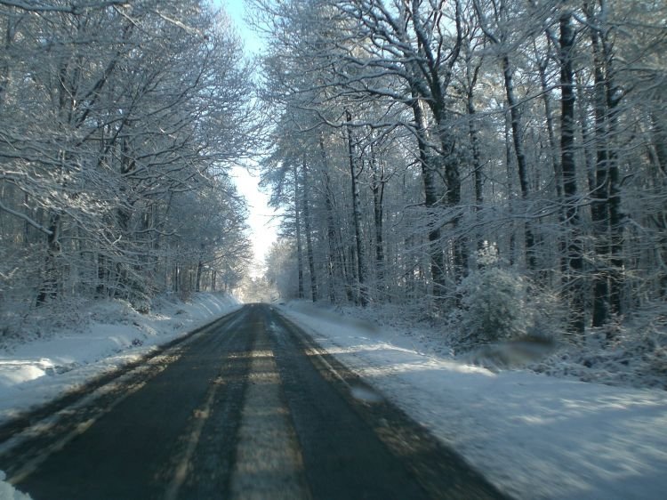 Viabilité hivernale 2023/2024 : le Département en ordre de marche face aux éventuelles intempéries hivernales