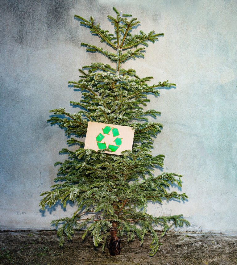 AIRES DE DEPOT DES SAPINS