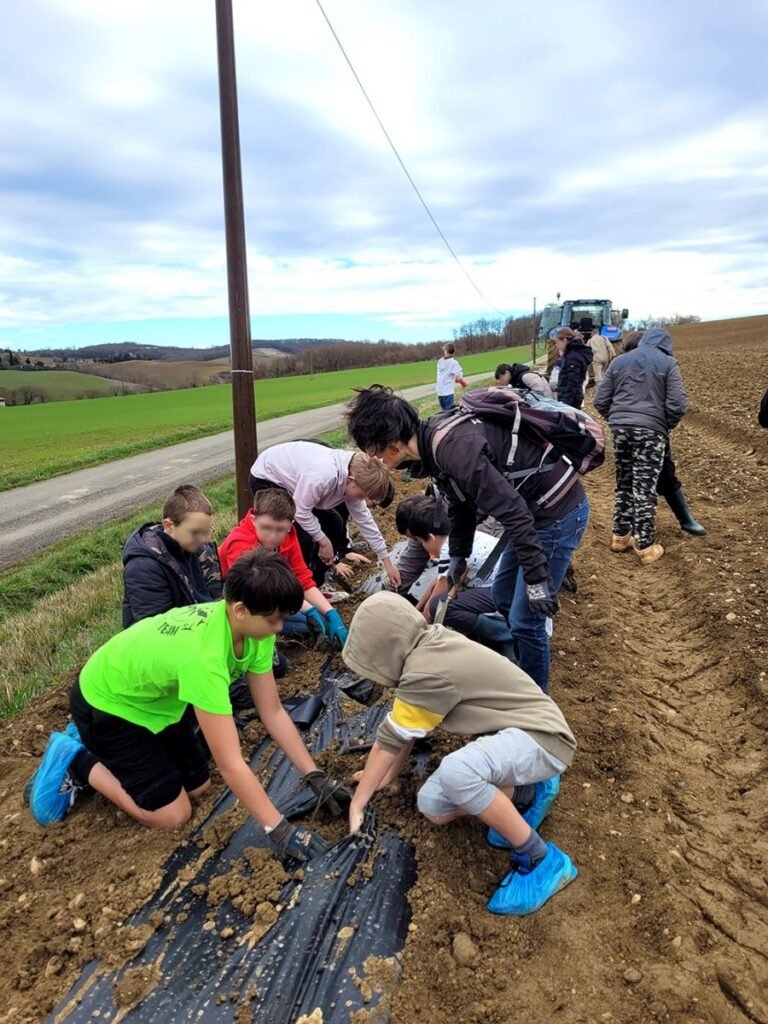 L’Isle Jourdain : Les élèves du collège Louise Michel ont planté des haies avec un agriculteur et 4 élus de la commune