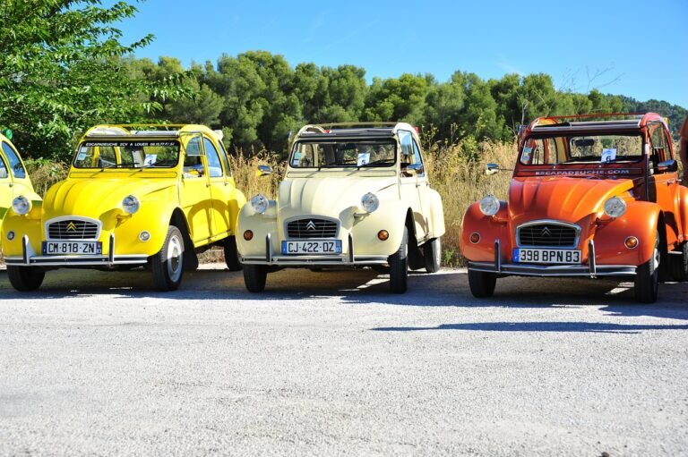 AUCH : La 49ème bourse du Tacot’s Club Gascon avec les mythiques 2CV et les cyclomoteurs