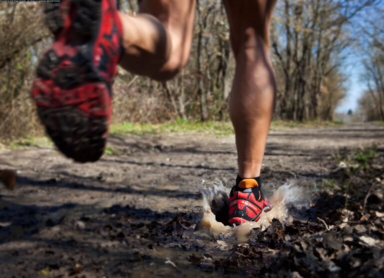 Le Leitora Trail la nocturne le 17 février à Lectoure