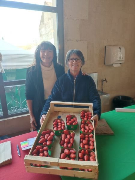 Les fraises sont de retour sur le marché de Mirande