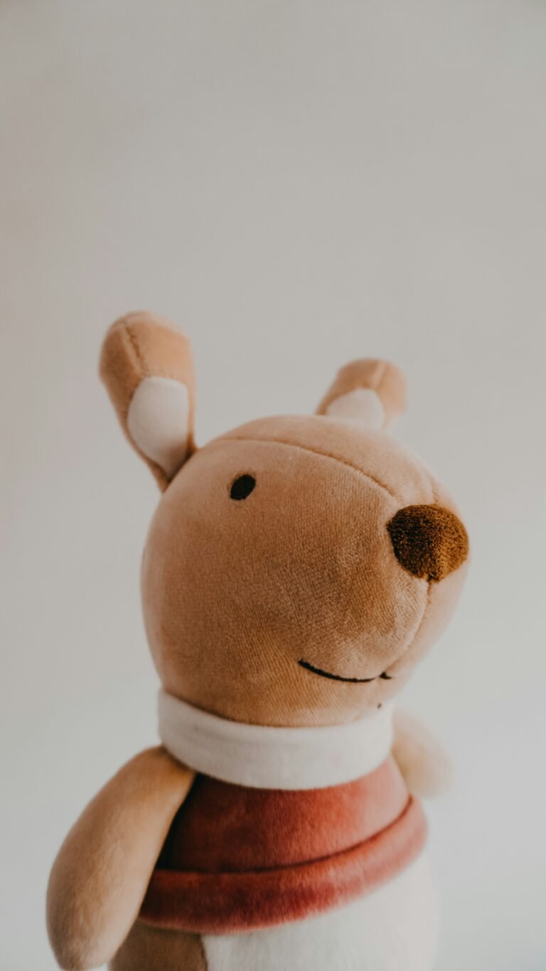  LA JOURNÉE ADOPTION PELUCHES : Le 26 juin