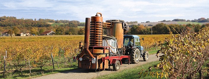 Gondrin : Vineart au domaine de Polignac