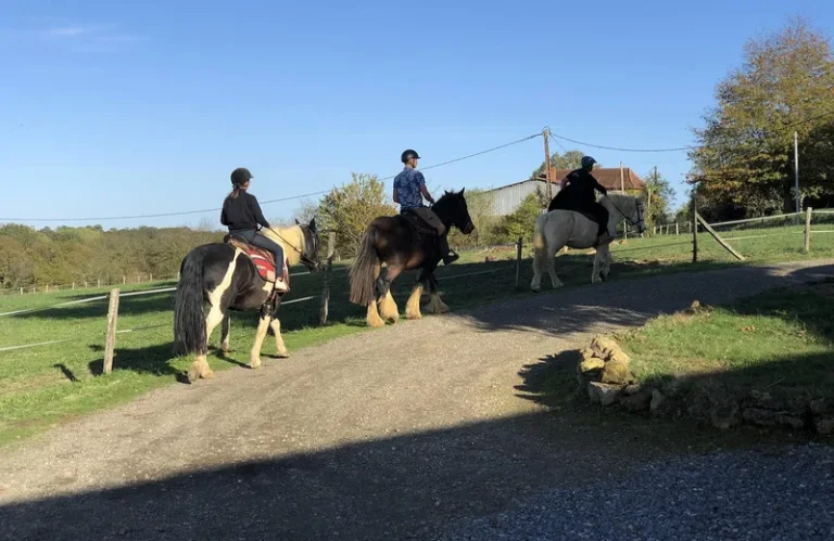 Balade équestre à Sarragachies