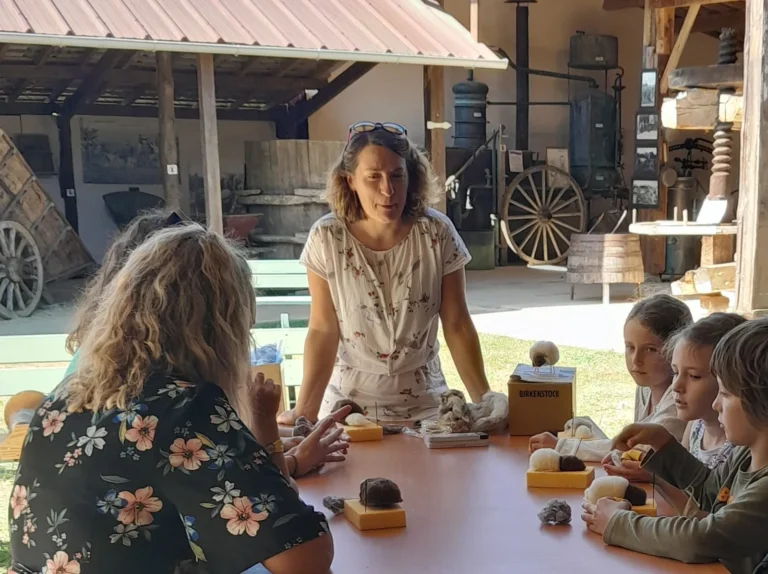 Toujouse : Atelier brebis feutrée