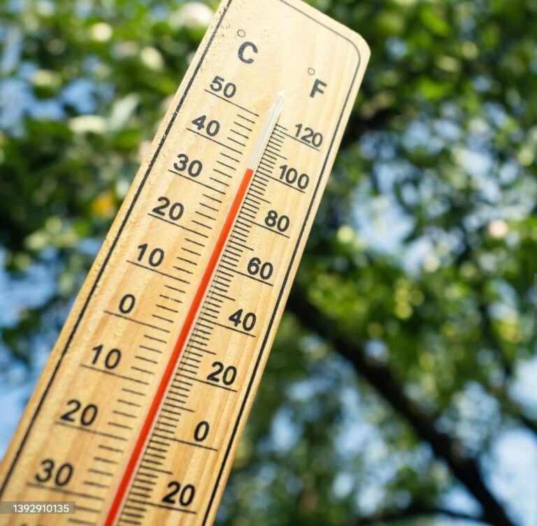 Bons gestes et conseils lors de forte canicule