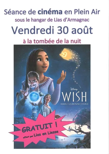 Cinéma sous les étoiles -Wish Asha et la bonne étoile