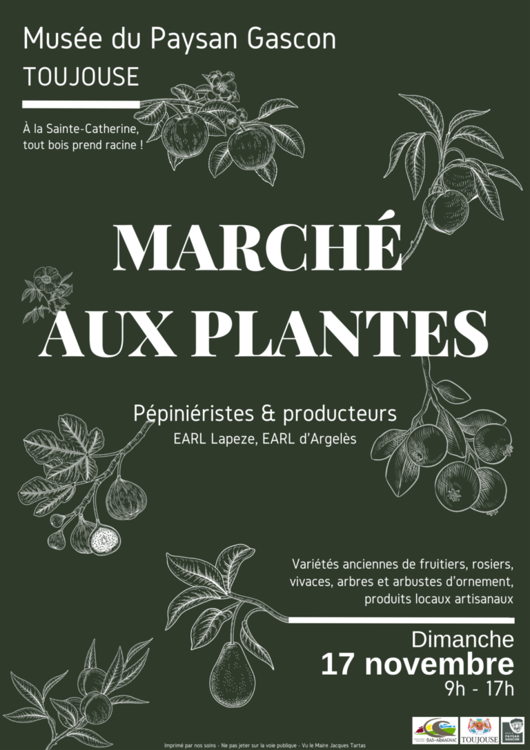 Toujouse : Marché aux plantes et produits artisanaux