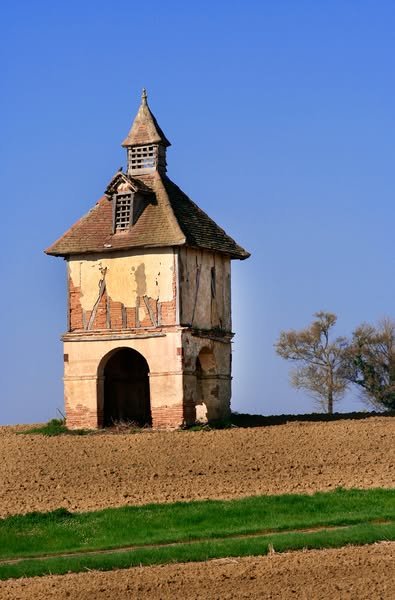 Les Pigeonniers de la Gascogne Toulousaine : Témoins d’une époque rurale