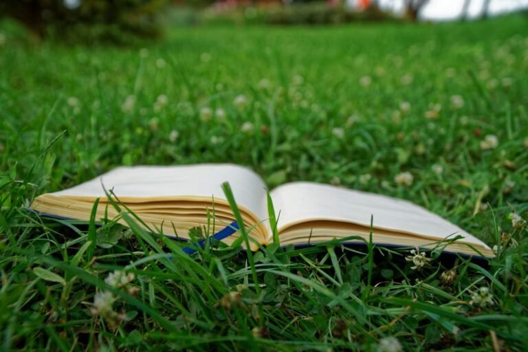 La 3ème édition des « Lectures printanières »approche !