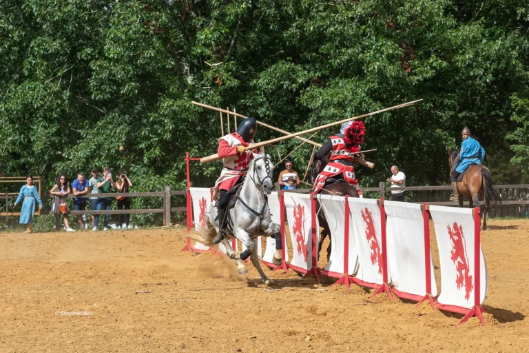 Tournoi de Chevalerie à Termes-d’Armagnac : Plongez au cœur du Moyen Âge !