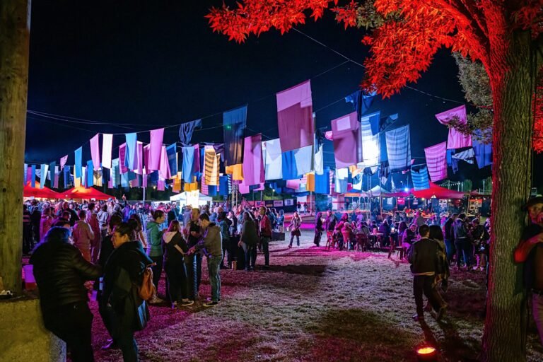 Festival “Le son de la nuit”  dédié au rock