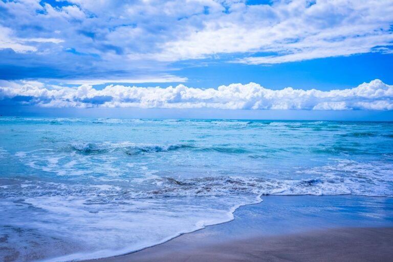Les Lundis en Lecture : le Théâtre du Griot blanc présente la Mer