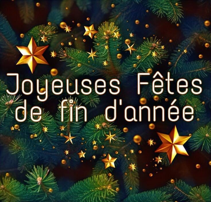 Une fin d’année festive pour tous à Fleurance