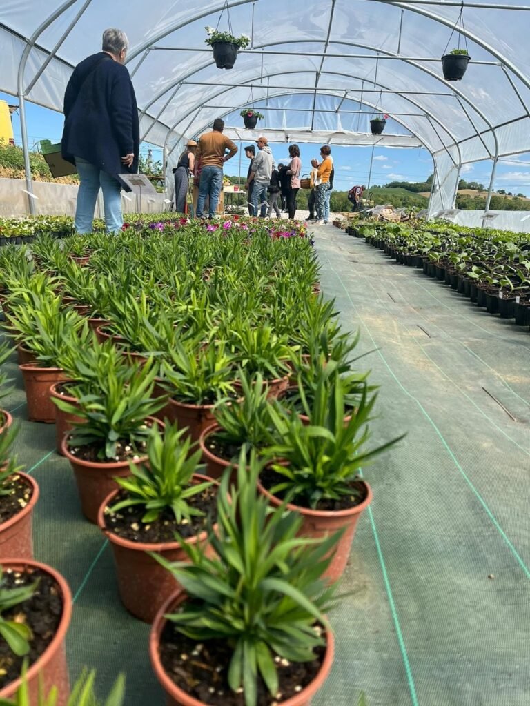 Valence-sur-Baïse : La serre des Fleurs de Mondon fête son deuxième anniversaire