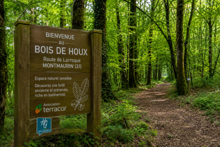 Montmaurin : l&rsquo;association Terre de Choix Terracor invite le public à une journée de partage au Bois des Houx