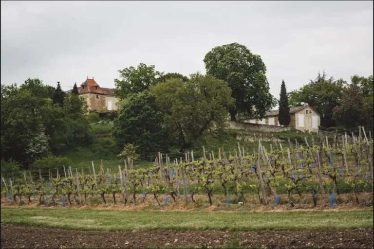 Au Château Arton, une balade nature en toute liberté au cœur du Haut-Armagnac
